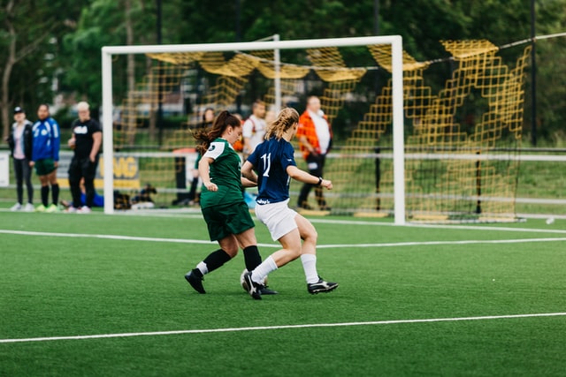 sports grass