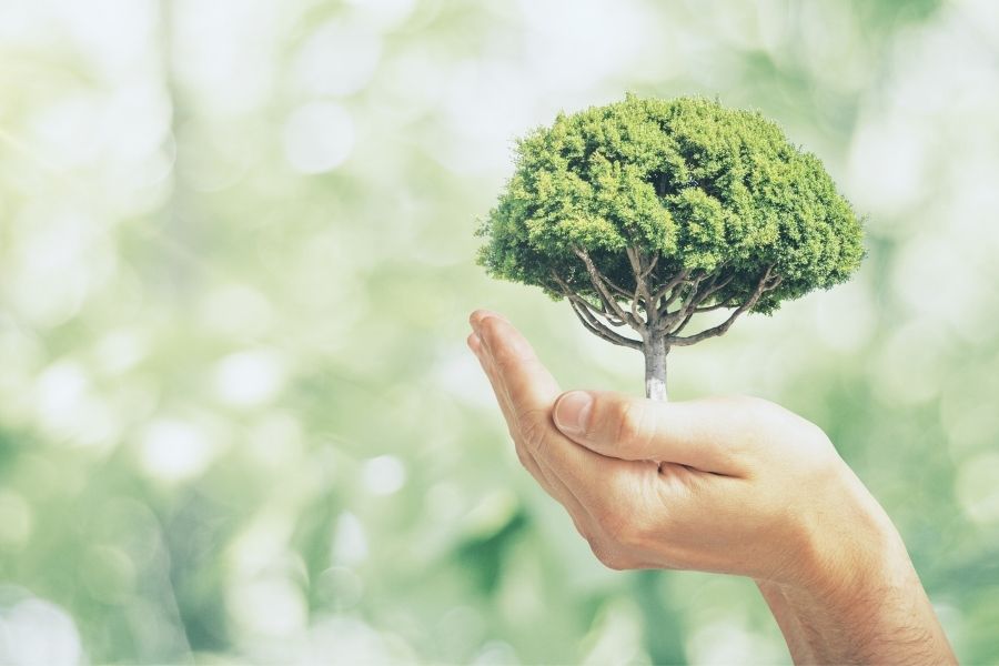 Vegas-artificial-grass-eco-friendly