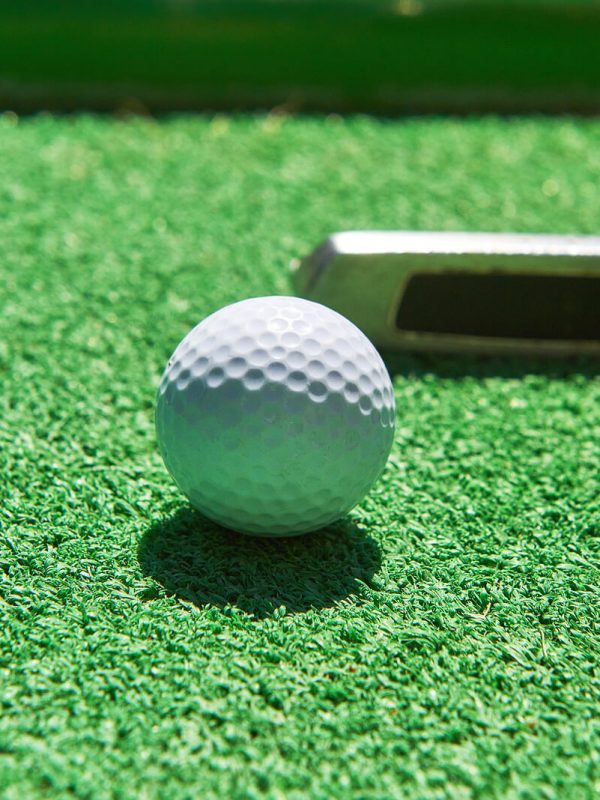 Mini-golf ball on artificial grass